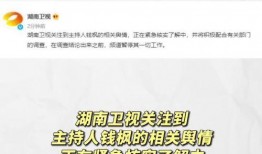 娱乐圈吃瓜文件叫什么,从“吃瓜文件”看明星幕后真相