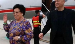 陈丽华司机爆料视频播放,揭秘事件背后真相